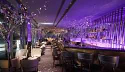 Peter: The Bar - Metropolis Japan