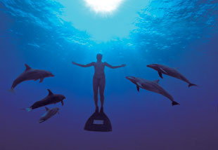 “The Cove”: ©2009 Oceanic Preservation Society