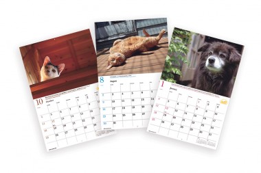 Calendar Dogs
