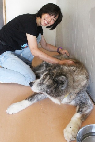 Find a furry friend in Niigata