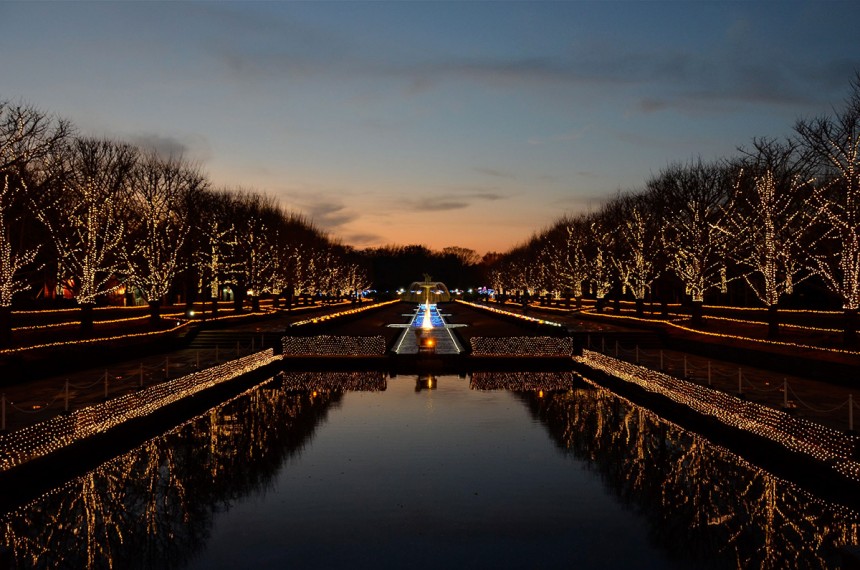 Showa Memorial Park Illumination