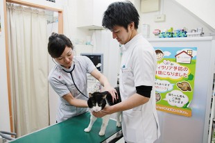 Aeon Animal Hospitals