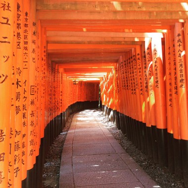10,000 Gates in Kyoto