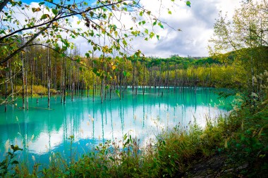 The Blue Pond in Hokkaido