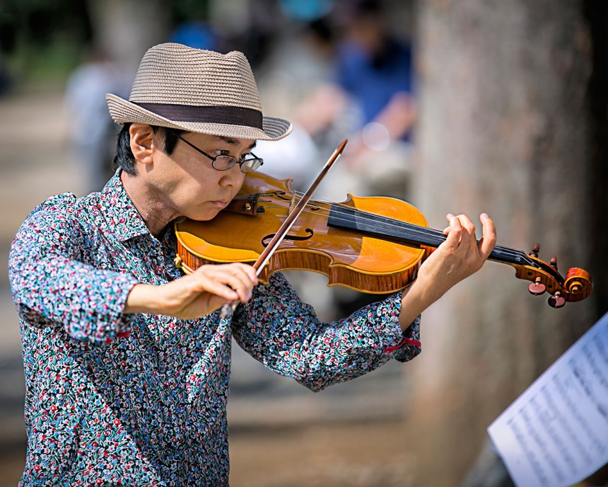 Music in the Park