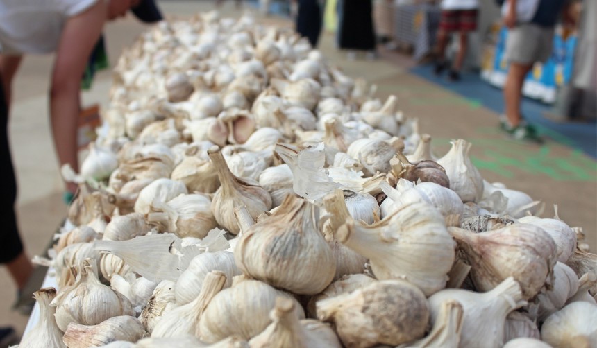 Tokyo Garlic Festival