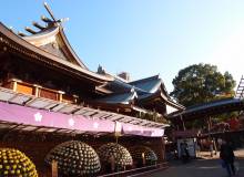 November Community News and Events - Metropolis Japan