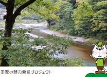 Discovering the Tama Area in Tokyo - Metropolis Japan