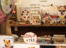Lifestyles of the Rich and Furry - Metropolis Japan