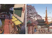100 Views of Tokyo - Metropolis Japan