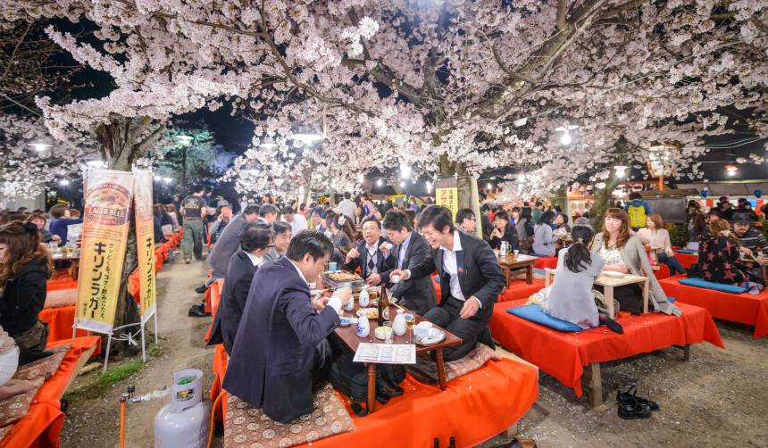 A Look Inside Japan’s Springtime