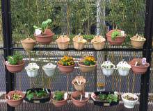 Grow Your Own In the City - Metropolis Japan
