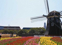 Things to Do in Nagasaki: Western Influence, Castella Cakes, and Historical Sights - Metropolis Japan
