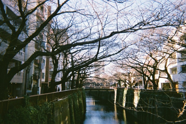 Meguro River