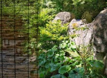 Hiking and Hot Springs in Kyoto - Metropolis Japan