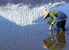 The Abundance of Less - Metropolis Japan