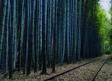 Beyond the Dunes - Metropolis Japan