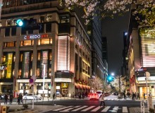 Nihonbashi Sakura Festival 2018 - Metropolis Japan