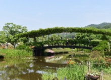 Ashikaga – Flowers and Wine Paradise - Metropolis Japan