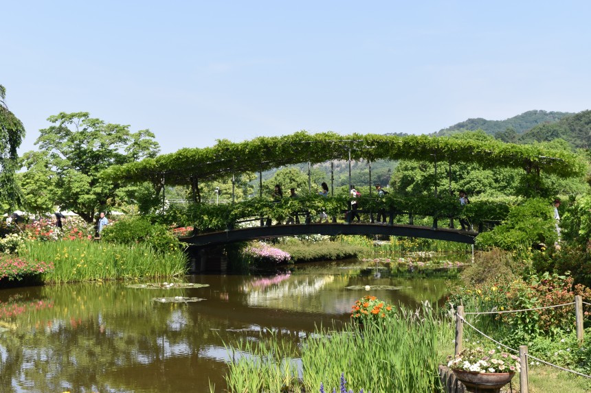 Ashikaga – Flowers and Wine Paradise