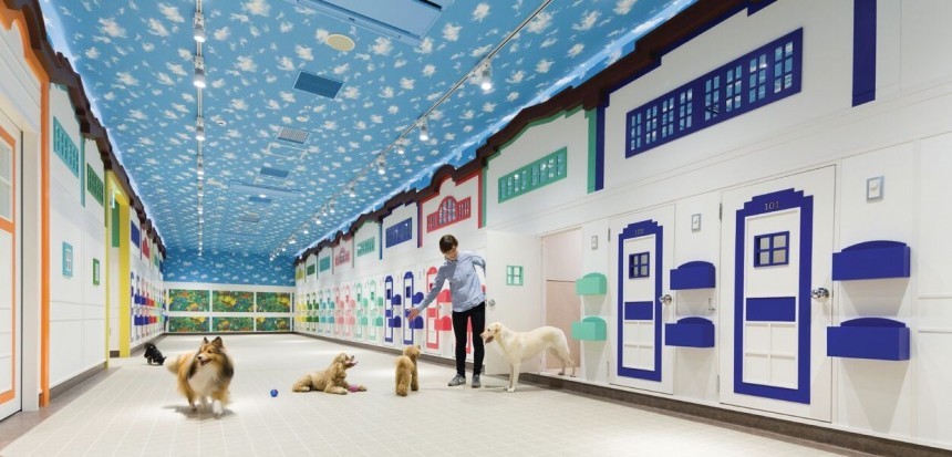 Pet Hotel: A Comfortable Retreat for Your Furry Friend