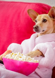 underrated netflix shows the small print metropolis