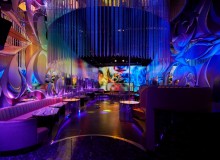 LAPIS Tokyo Special Offer - Metropolis Japan