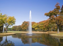 October Community Events - Metropolis Japan