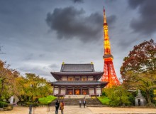 November Community News & Events - Metropolis Japan