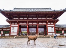 Exploring Nara - Metropolis Japan