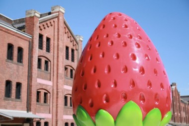 Metropolis recommends February Yokohama Strawberry festival 