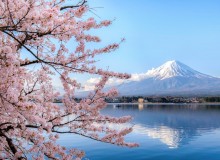 Spring in Fuji Five Lakes - Metropolis Japan