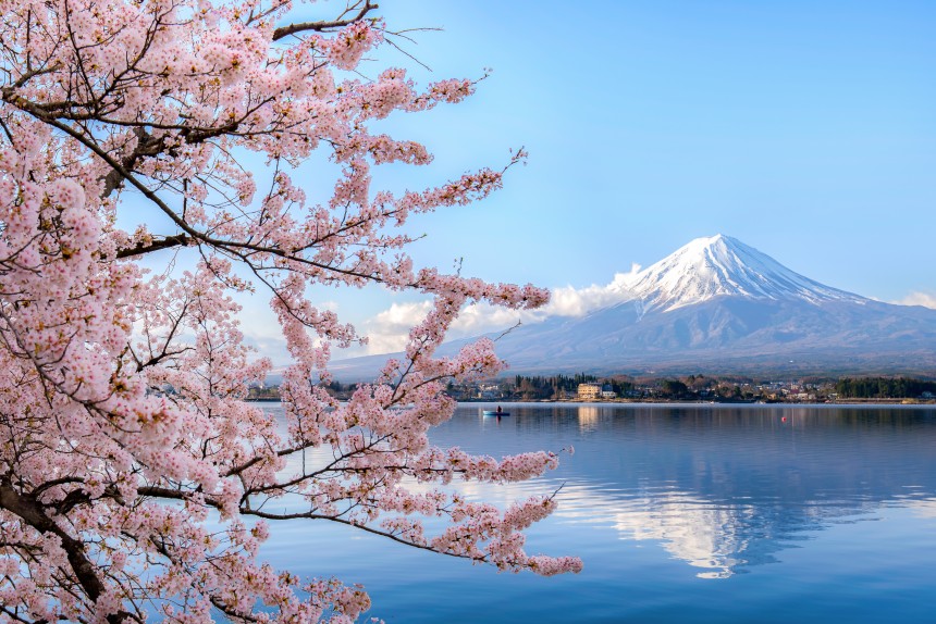 Spring in Fuji Five Lakes