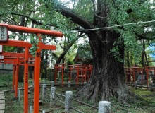Tokyo Neighborhood Guide: Zoshigaya  - Metropolis Japan