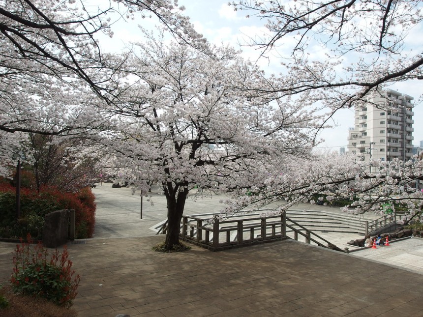 Asukayama Park 