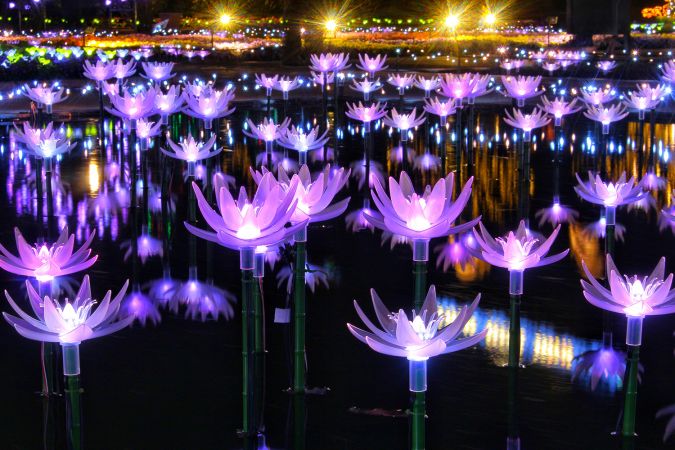 ashikaga park illuminations metropolis magazine japan