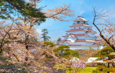 The Fukushima Diamond Route