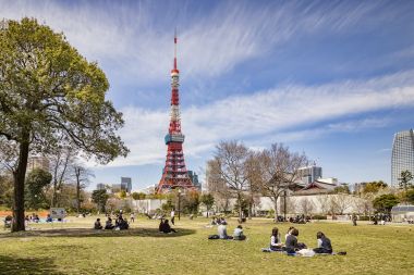 Tokyo Cycling Route: “Tokyo Tower Tour”