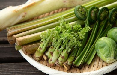 Japan’s Lost Tradition of Wild Food - Metropolis Japan