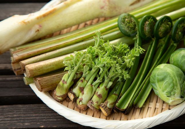 Japan’s Lost Tradition of Wild Food