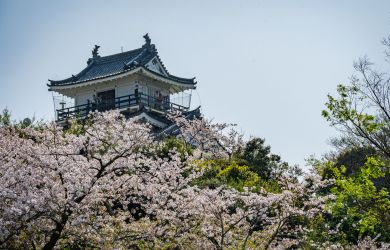 Choose Your Own Adventure in Hamamatsu City - Metropolis Japan