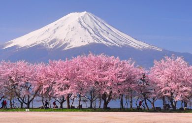 “Japan From Anime to Zen” - Metropolis Japan