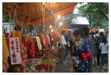 Sumomo Festival 