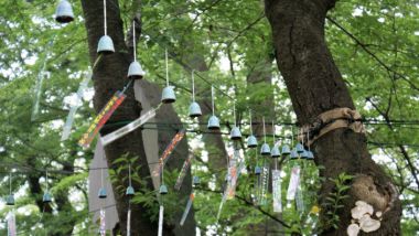 Ikegami Honmonji wind chime festival