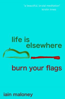 Life Is Elsewhere/Burn Your Flags