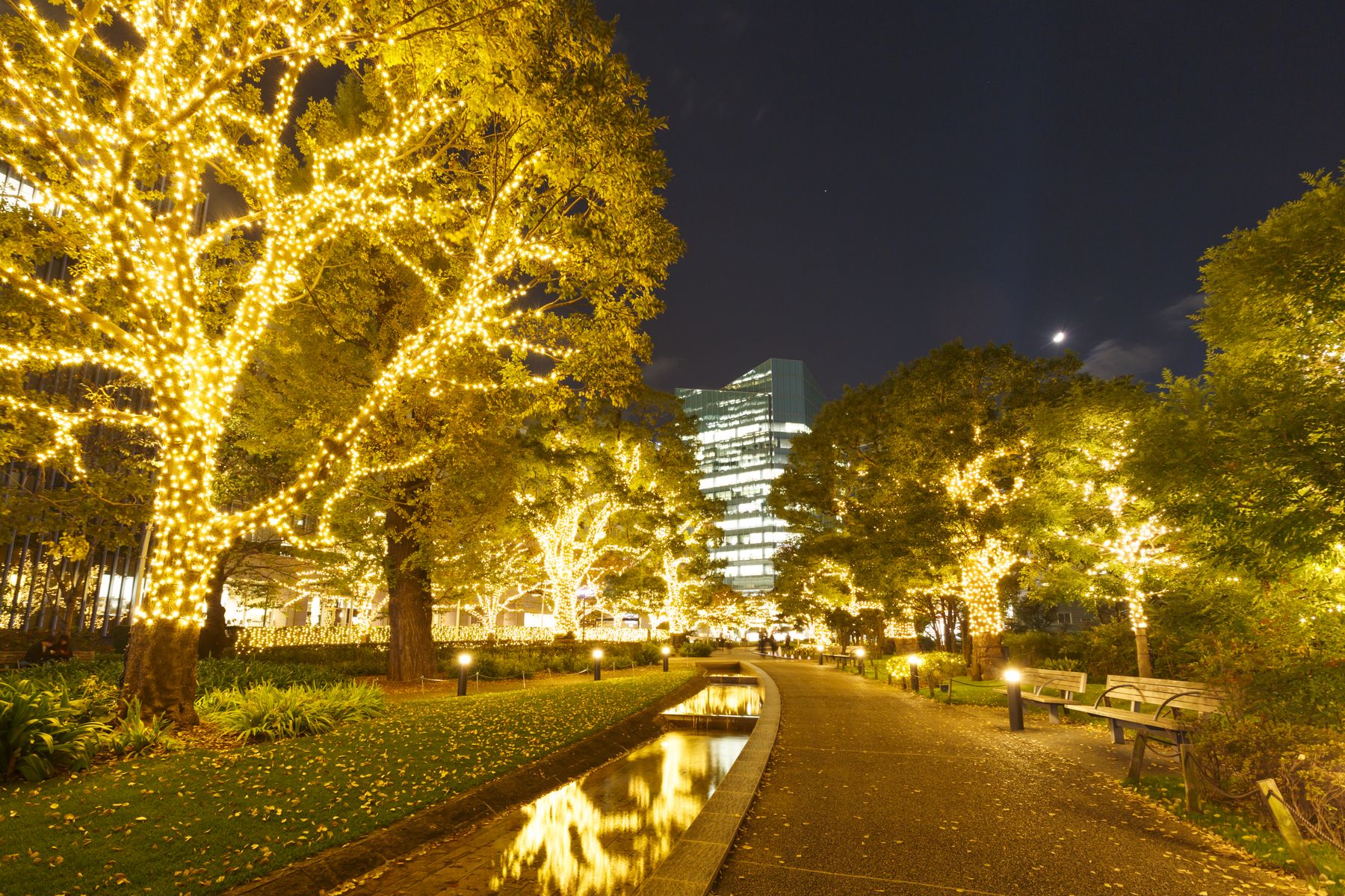 winter lights-tokyo-japan-metropolis