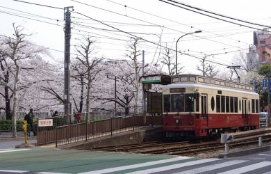 The Tokyo Sakura Tram Line