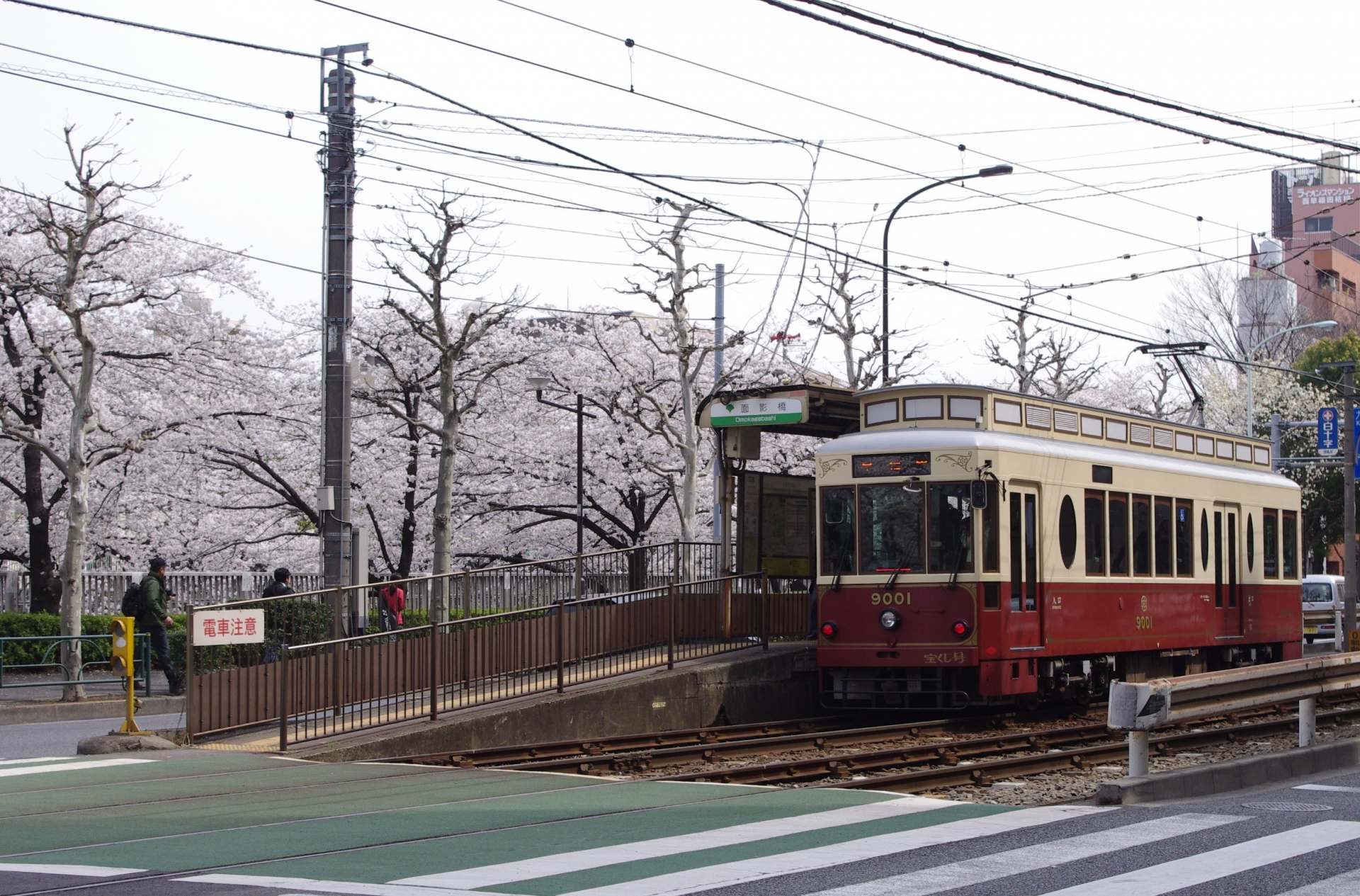 The Tokyo Sakura Tram Line