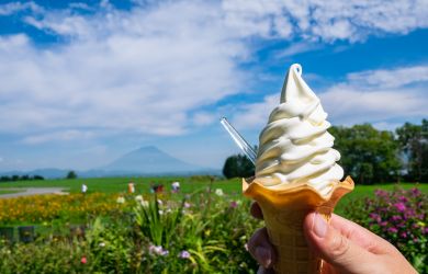 Hokkaido Dairy – The Cream of the Crop