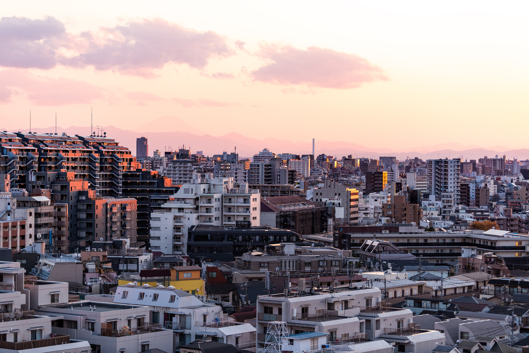 Where’s the Best Place to Live in Tokyo?